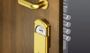 Cómo elegir el mejor escudo protector para tu puerta